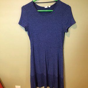 Gap Blue Knit dress
